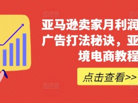 亚马逊成人用品市场趋势预测，未来三年的增长点与风险分析