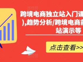 如何做迪拜跨境电商成功案例分析，迪拜电商成功运营指南