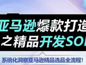 亚马逊选品秘籍，快速找到高利润产品的操作流程