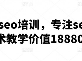 抖音SEO关键词收录数据怎么看，新手必学的优化技巧