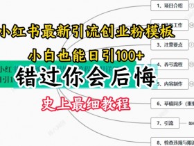 小红书掘金虚拟项目能赚钱吗，从引流到收益的全教程