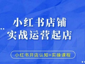 如何用小红书图文矩阵赚钱，批量发布引流日增流量300+