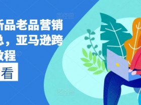 迪拜跨境电商市场挑战如何应对，2025年迪拜电商市场的挑战与应对