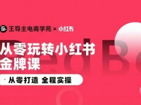 2025年短剧蓝海风口，小红书短剧赚钱的实操干货分享