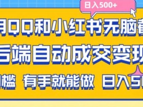 小红书掘金流量项目合法吗，冷门赛道的操作风险分析