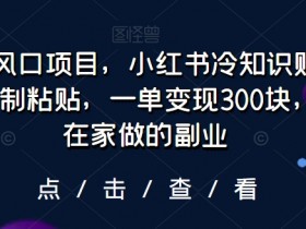 小红书如何高效带货，笔记推广与精准引流的全解析