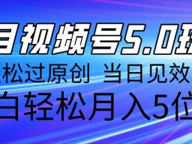 视频号素人如何通过直播带货赚钱，从起号到变现的完整流程