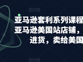 亚马逊成人用品的独立站运营方案，从0到1的详细操作流程