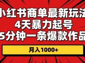 如何快速推广小红书短剧，从零到爆款的全程干货分享