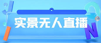 快手无人直播如何进行数据分析，通过数据分析优化直播效果与收入