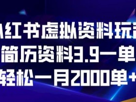 虚拟商品类目选什么，小红书平台分类攻略