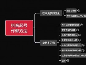 抖音直播营销新策略，高效转化的流量获取技巧