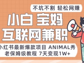 如何通过小红书笔记实现引流，精准引导粉丝关注的技巧