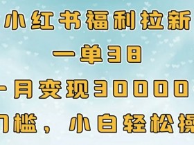 小红书高端私人定制项目，一单3000+利润的全套教程