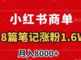 小红书笔记引流能赚钱吗，从吸粉到带货的变现路径