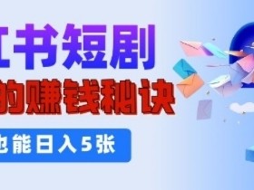 如何用小红书图文矩阵赚钱，批量发布引流日增流量300+