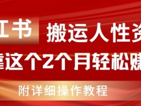 小红书掘金虚拟资源玩法，冷门赛道操作日入过万