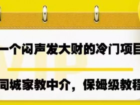 实体店引流工具哪家好用，帮助店铺实现高效推广的推荐清单