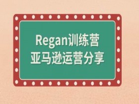 亚马逊成人用品市场趋势预测，未来三年的增长点与风险分析