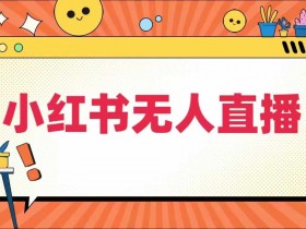 小红书旅游项目运营全攻略，从分类选择到变现的详细流程