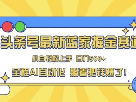 今日头条搬砖项目怎么做，从0到日入300的保姆级攻略