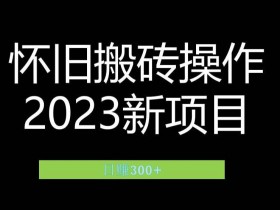 虚拟商品项目真实案例，小红书变现全新思路分享