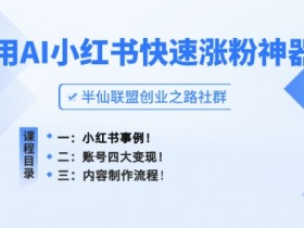 小红书掘金虚拟项目的操作技巧，低成本引流的玩法解析