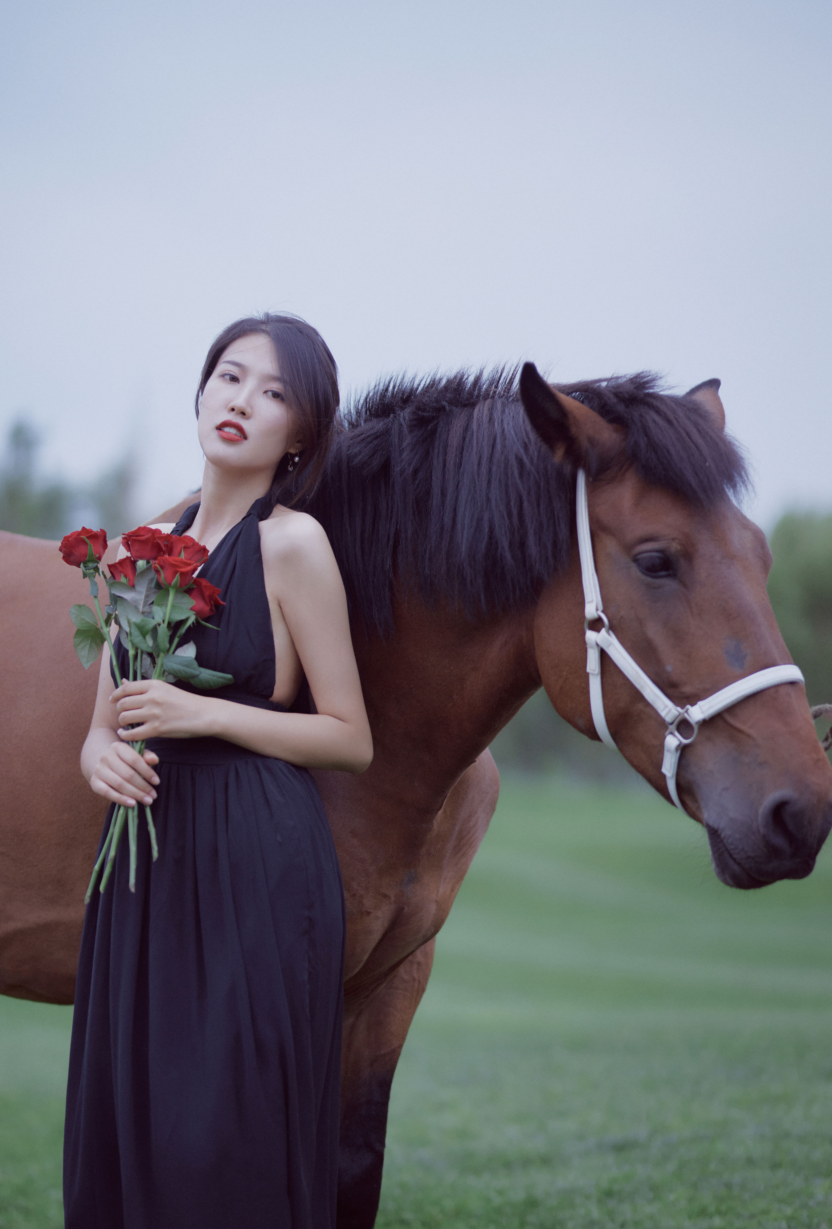 马 唯美 复古 优雅 女神 花