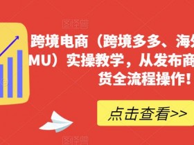 如何做迪拜跨境电商成功案例分析，迪拜电商成功运营指南