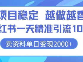 小红书掘金虚拟资料项目，月入5000+的冷门玩法实操解析