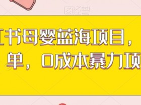 小红书带货笔记赚钱攻略，实现收益增长的实操方法