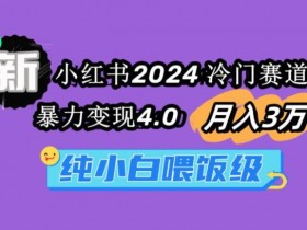 小红书运营岗位职责详细解析，从策划到执行的全流程