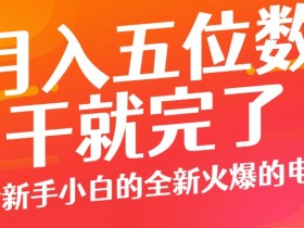 小红书旅游项目运营全攻略，从分类选择到变现的详细流程