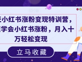 揭秘小红书掘金项目，日入四位数的蓝海赛道操作教程