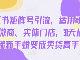 小红书海外旅游攻略怎么做，虚拟项目变现案例详解