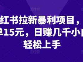 小红书掘金虚拟项目的操作技巧，低成本引流的玩法解析