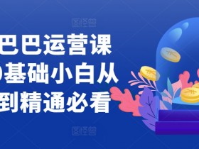 国际站运营简历优化技巧，提升国际站运营简历的成功率的技巧