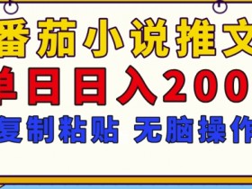 小说推文项目收益揭秘，大佬都在用的赚钱技巧