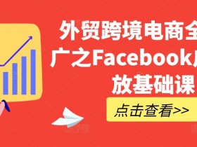 Facebook广告投放全流程解析，从创建到优化的每一步详解