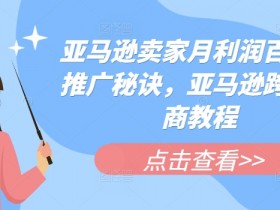 亚马逊成人用品市场趋势预测，未来三年的增长点与风险分析