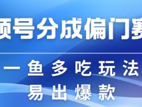 视频号素人矩阵的盈利模式，从涨粉到变现的完整策略