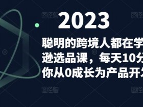 2025年最新版亚马逊运营课程合集，从零到高手的学习路径