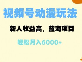 视频号蓝海风口项目揭秘，新手如何轻松操作日入500+