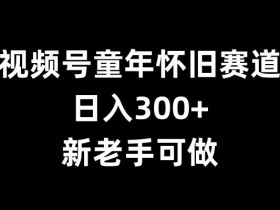 视频号直播数据工具推荐，实时掌握直播效果的分析软件