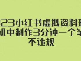 虚拟商品项目真实案例，小红书变现全新思路分享