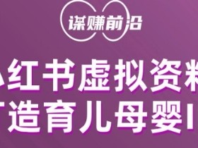 小红书蓝海虚拟资料玩法，信息差项目轻松变现