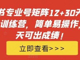 小红书文旅类目推广效果怎么样，从内容到变现的案例拆解