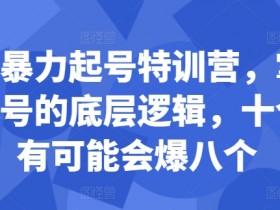 小红书海外旅游怎么玩，虚拟项目从分类到收益的全攻略