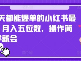 短剧推广小红书怎么做，蓝海项目的高收益全流程解析