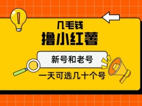 如何规划小红书运营项目，轻松完成方案编写的入门指南